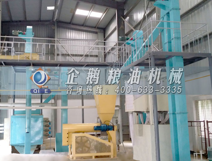 如何投資建設(shè)棕櫚油加工廠？企鵝糧油機(jī)械在線為您答疑解惑(圖4)