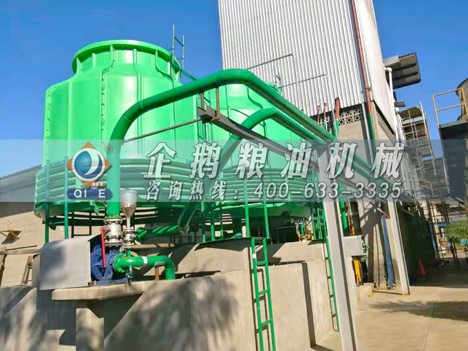 如何投資建設(shè)棕櫚油加工廠？企鵝糧油機(jī)械在線為您答疑解惑(圖3)